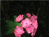 03cc0592-Picture 023.jpg